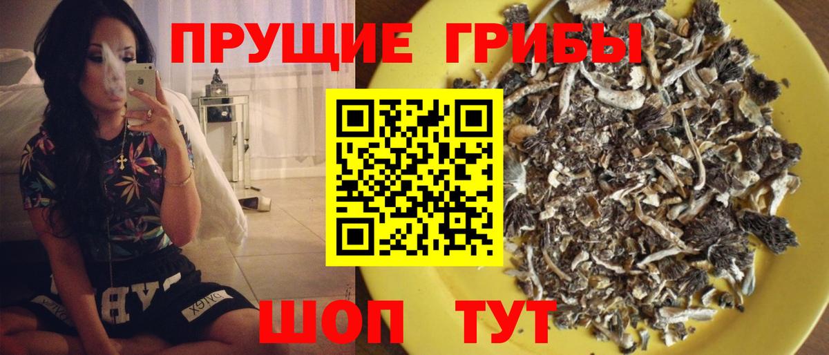 Псилоцибиновые грибы Psilocybe  Галлюциногенные грибы мухоморы  Усть-Джегута  Вход с VPN 